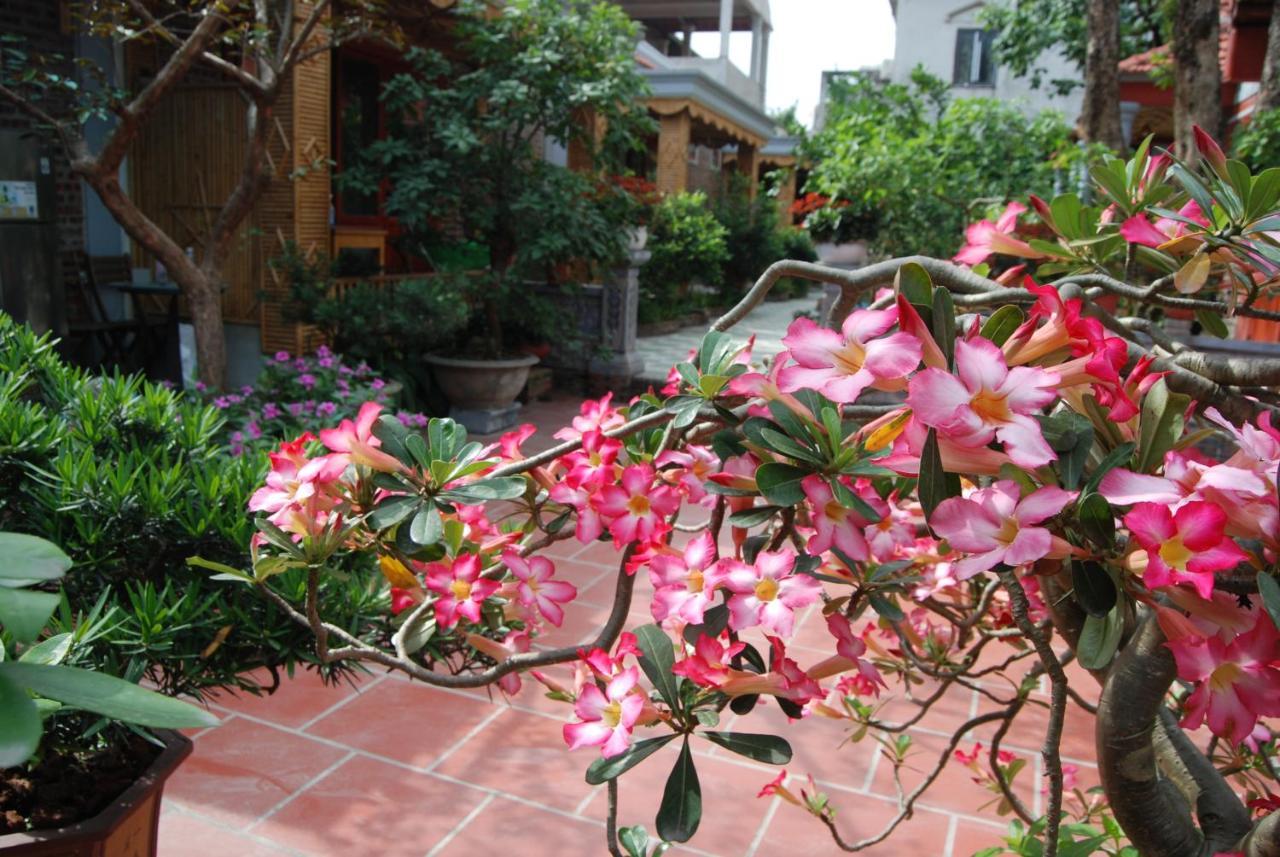 Tam Coc Tropical Garden Ξενοδοχείο Νιν Μπιν Εξωτερικό φωτογραφία