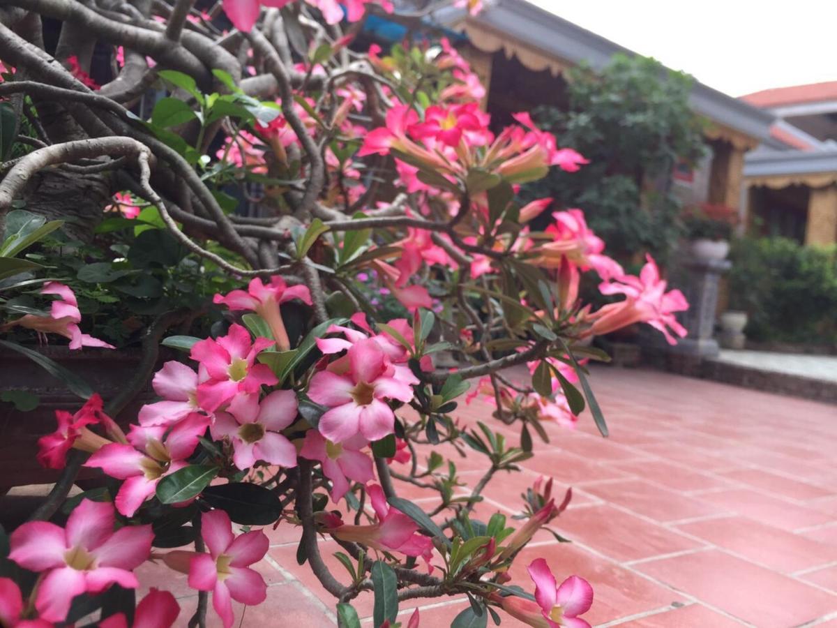 Tam Coc Tropical Garden Ξενοδοχείο Νιν Μπιν Εξωτερικό φωτογραφία